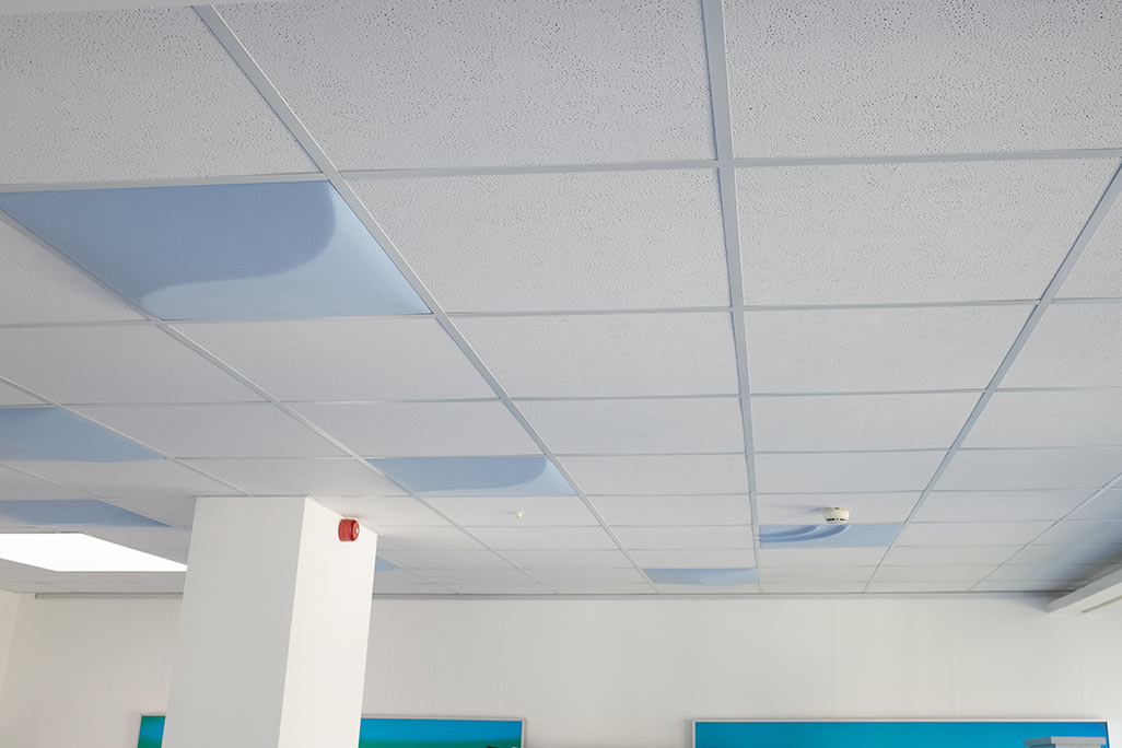 Section of a standard grid ceiling with inlaid soni COMFORT SD acoustic absorbers in white and soni COLOR Design in blue.